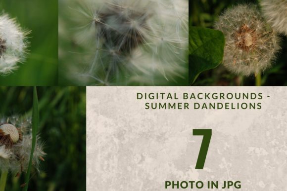 Enhance Your Projects with Dandelion Photography