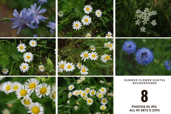 Summer Wildflower Digital Photo Set